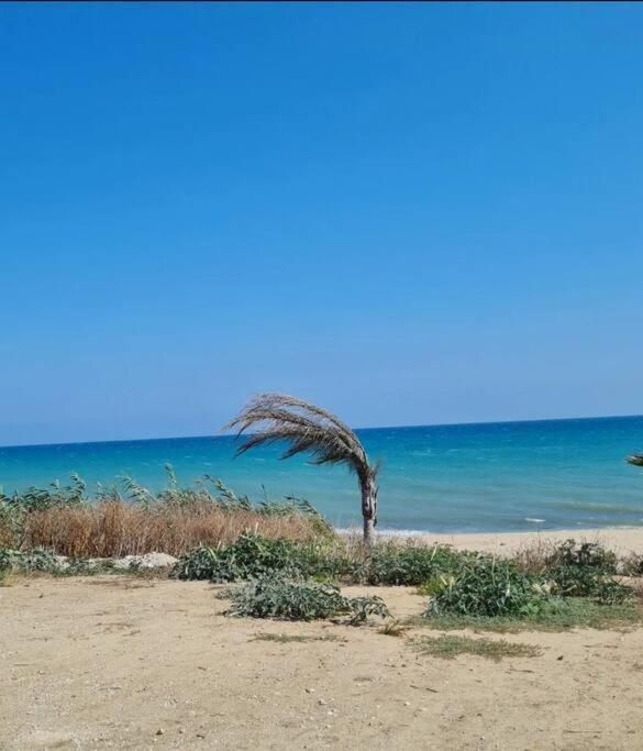 Ca' Sole Butera Exterior foto